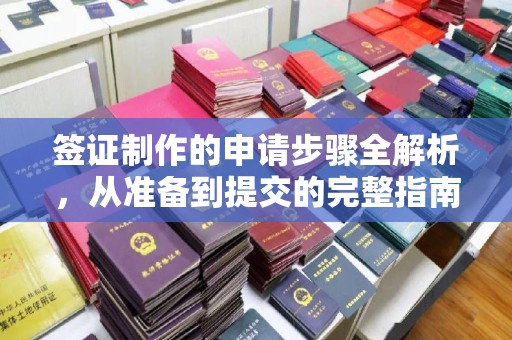 益阳签证制作的申请步骤全解析，从准备到提交的完整指南