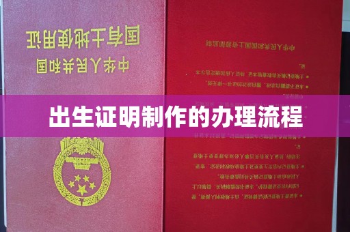 益阳出生证明制作的办理流程