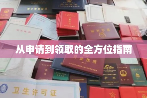 益阳从申请到领取的全方位指南