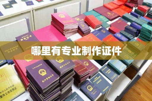 益阳哪里有专业制作证件