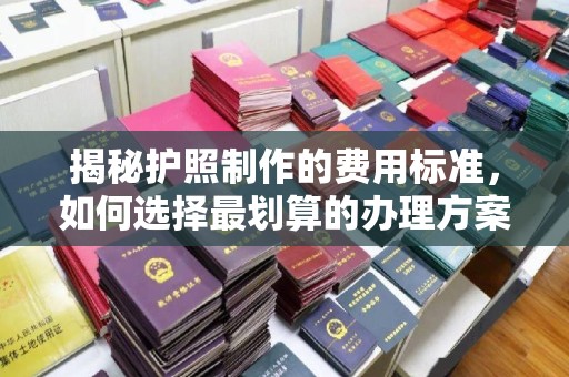 益阳揭秘护照制作的费用标准，如何选择最划算的办理方案？