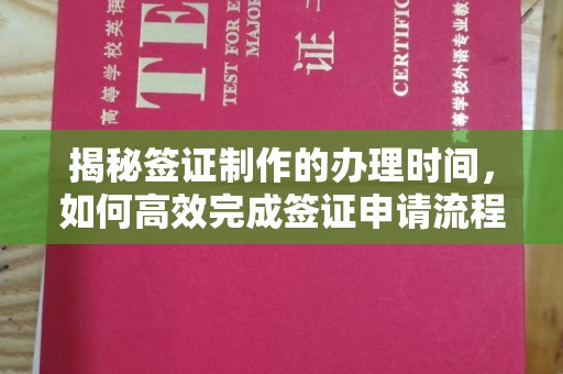 益阳揭秘签证制作的办理时间，如何高效完成签证申请流程