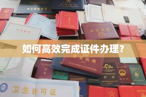 益阳如何高效完成证件办理？