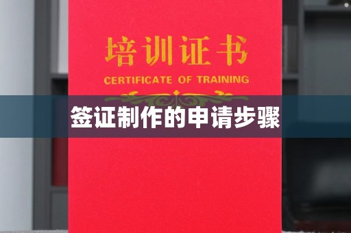 益阳签证制作的申请步骤