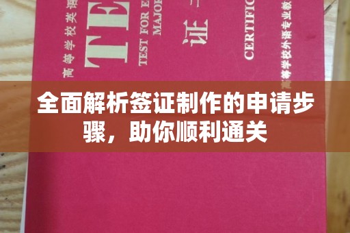 益阳全面解析签证制作的申请步骤，助你顺利通关